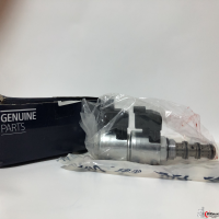 ŞANZUMAN SELENOİDİ